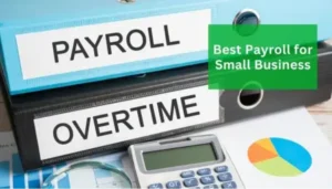 best payroll for small business 