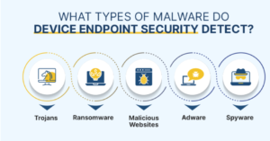 Endpoint Software Security